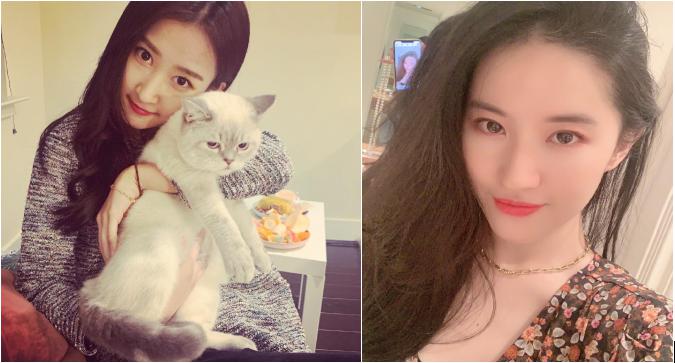 詹秋怡长得像刘亦菲对比图 她家境如何