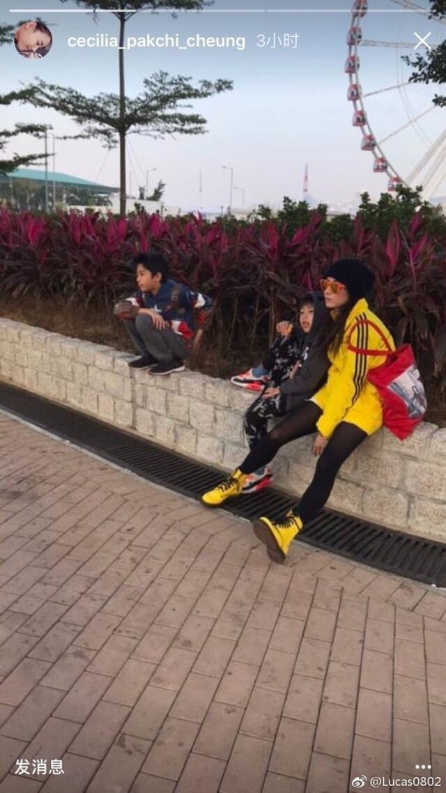 为什么说张柏芝晚年命比王菲好 张柏芝现在跟谁在一起