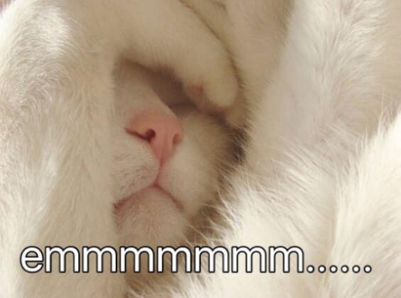 emmm��ʲô��˼ ����Ů������emmm��ʲô��˼