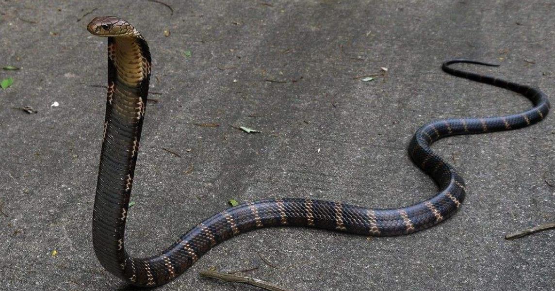 �˻���Ϊʲô������֮�� �˻����ж���Ϊʲô�����۾�����