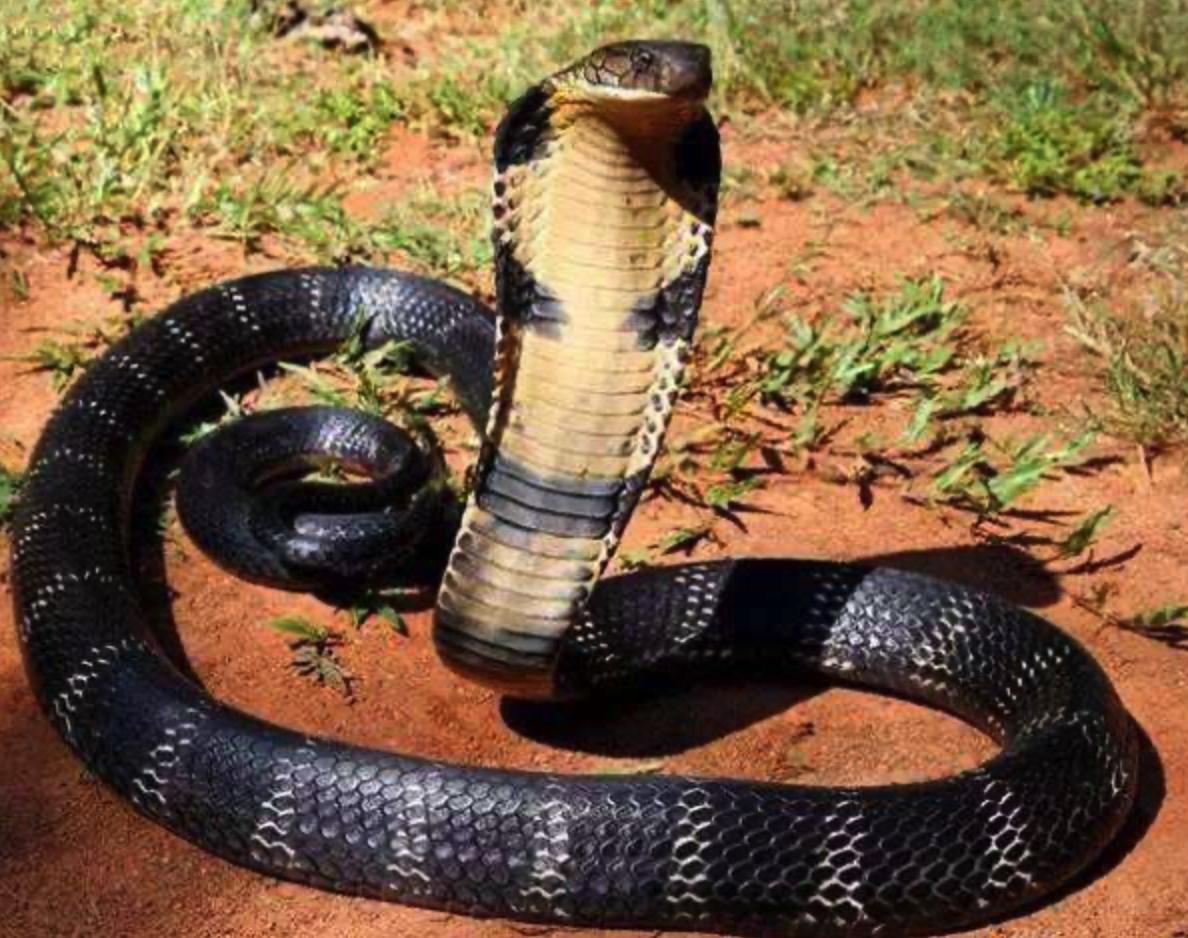 �˻���Ϊʲô������֮�� �˻����ж���Ϊʲô�����۾�����