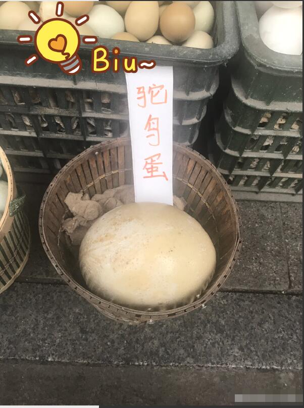 ����һ���¼������ó��� ����������Ǯһ��