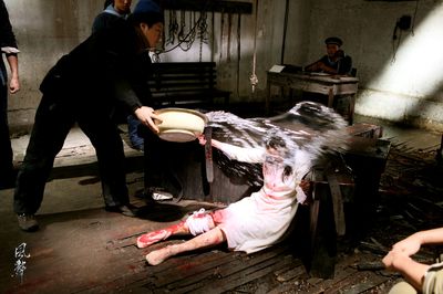 ������������� ���յĽ�����ǹ�����