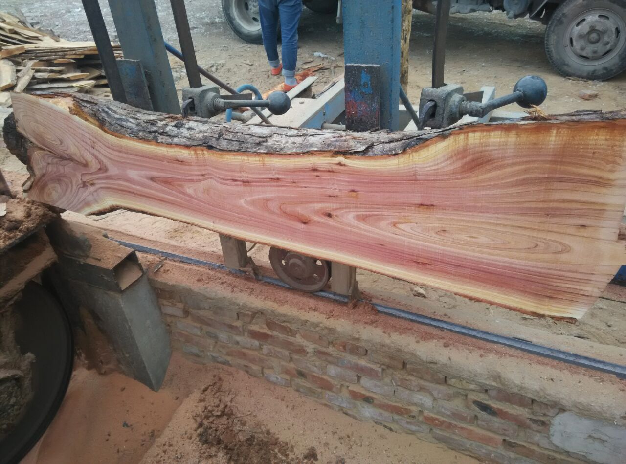 �㴻ľΪʲô����ľ �㴻ľ�������ײ�����ô����