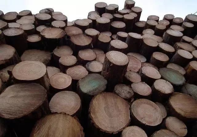 �㴻ľΪʲô����ľ �㴻ľ�������ײ�����ô����