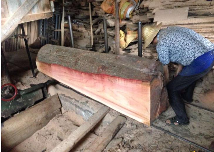 �㴻ľΪʲô����ľ �㴻ľ�������ײ�����ô����