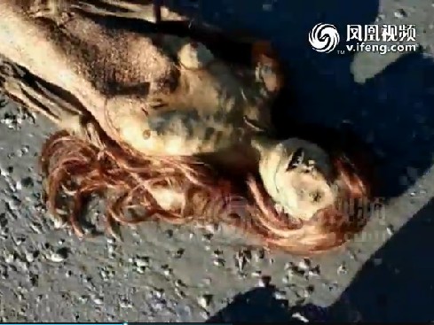 ������̲����������ʬ�� ����������ô�����ӵ�