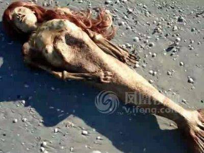 美国海滩惊现美人鱼尸体 美人鱼是怎么生孩子的