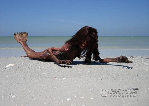 美国海滩惊现美人鱼尸体 美人鱼是怎么生孩子的
