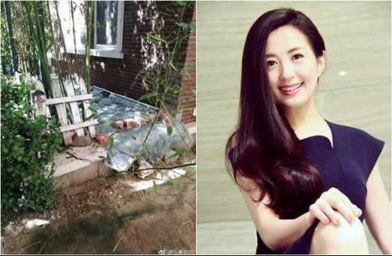 ��ͯ������־��Ա��� ��ͯ��ĺ�լΪʲô����