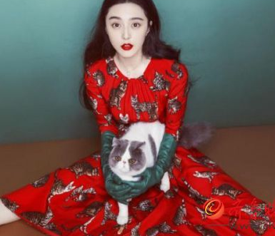 �������п������� ��ǰ������Ƭ��������ֱ����ô�ݺö�