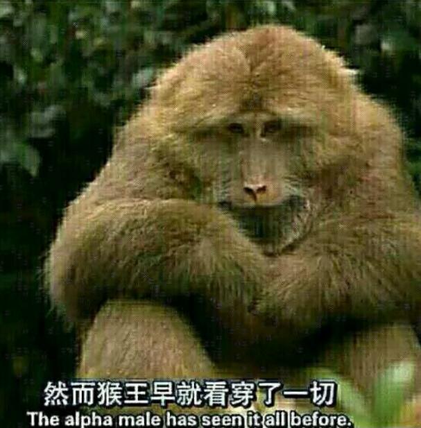 Ƥ��Ϊʲô��Ƥ���졢Ƥ������Ƥǰ�� Ȼ��Ƥ�����ѿ���һ����ʲô��