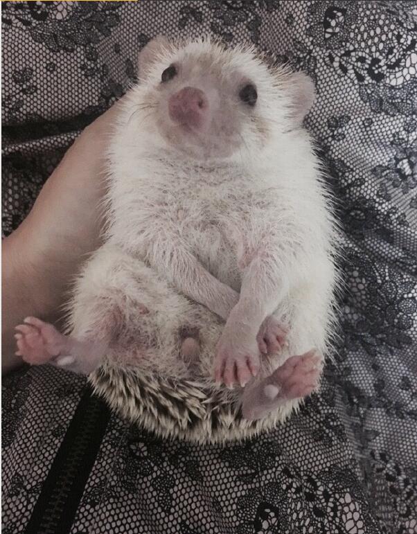 ���Ͽ�����������Ǽ� Ϊʲô˵����ǲ���