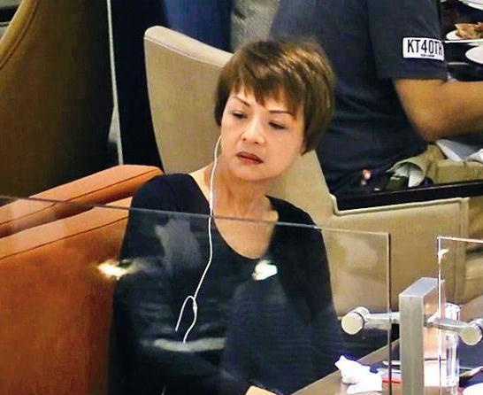 Ҷ���ĵ�������ļٵ� �����ڵ���Ƭ˥�ϲ���