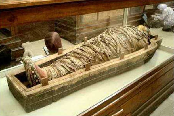 Ϊʲôľ�������ܲ� ȫ��ʮ�󶥼�ľ�����̵�