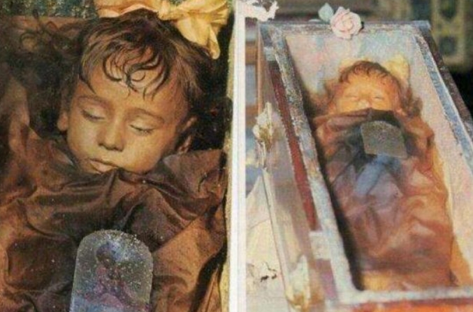 Ϊʲôľ�������ܲ� ȫ��ʮ�󶥼�ľ�����̵�