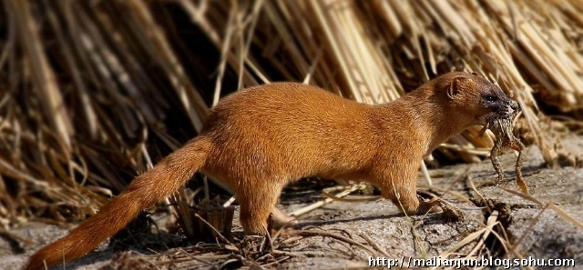 �����ǽ�����ʲô��ͷ �����Ǽ�������