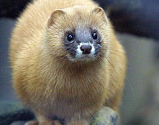 �����ǽ�����ʲô��ͷ �����Ǽ�������