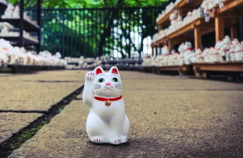 �в�è�Ͳ�����Է���һ���� �в�è���и�è��ʲô����