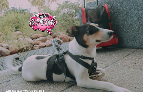 �°��غ�����Т��һ������ �°��صĹ��Ʒ�ʲôƷ��