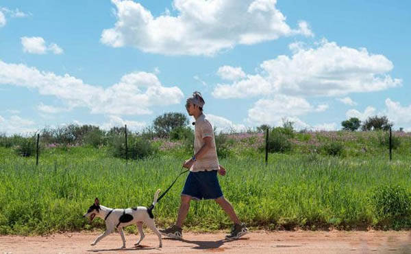 �°��غ�����Т��һ������ �°��صĹ��Ʒ�ʲôƷ��