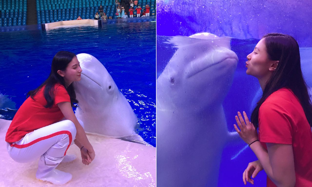 �������ش�߶�˽�� �ش�߶���Ƭ����ô����