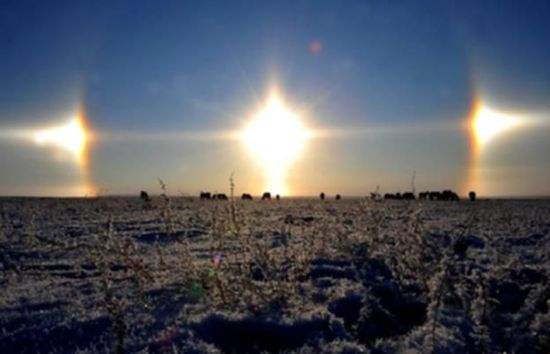 �Ŵ�˵����������ʲôԤ�� �����ڿ�ѧ�����������γɵ�