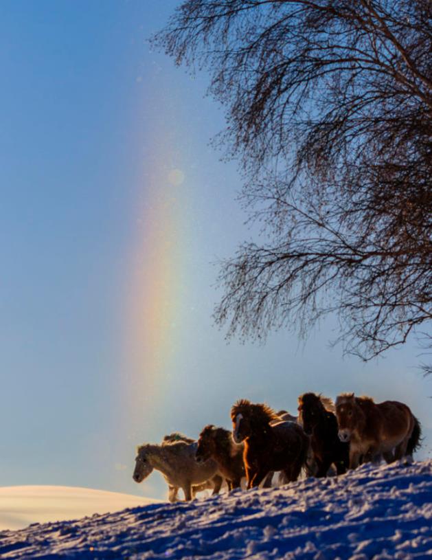 �Ŵ�˵����������ʲôԤ�� �����ڿ�ѧ�����������γɵ�