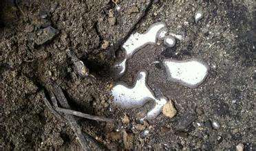 ��ʵ��ʼ����ع�������Ƶ ��ʼ����ع���ˮ��Ϊ�ء��ľ޴�����