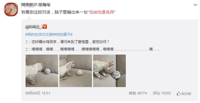 魏晨他说他是岛民是什么意思网络用语