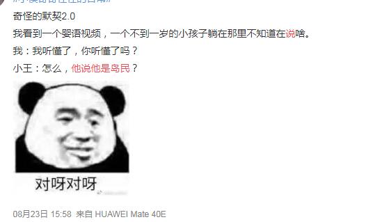 魏晨他说他是岛民是什么意思网络用语