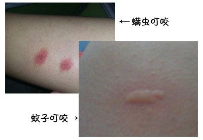 ����ҧ����ĸ�����Ƭ �ɴ��ϻ����������浼�µ���