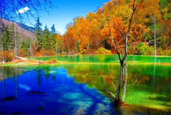 ��կ��Ϊʲô����Ϊ��Ȼ����԰ ��կ����ˮ����ɫ��ԭ��