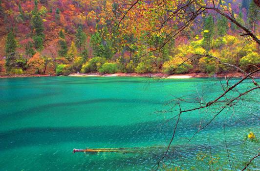 ��կ��Ϊʲô����Ϊ��Ȼ����԰ ��կ����ˮ����ɫ��ԭ��