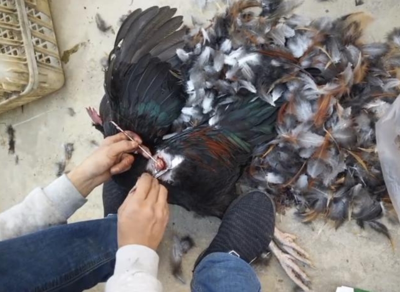 ΪʲôҪ�߼����˼��� �߼����೤ʱ�����ɱ