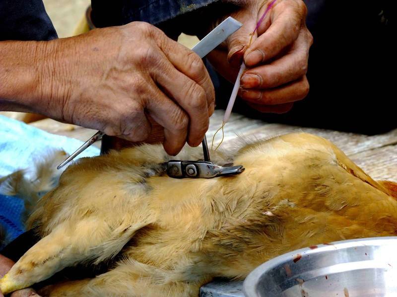 ΪʲôҪ�߼����˼��� �߼����೤ʱ�����ɱ