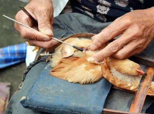 ΪʲôҪ�߼����˼��� �߼����೤ʱ�����ɱ