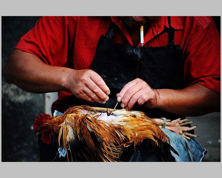 ΪʲôҪ�߼����˼��� �߼����೤ʱ�����ɱ