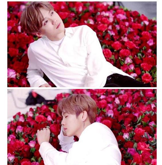 ���İ�Ƥ¹�ϱ���Ȧ�ų����� ¹�������ʲô��