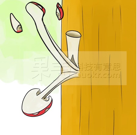 �б���Ů����������Ƭ ���Ժ���������п����