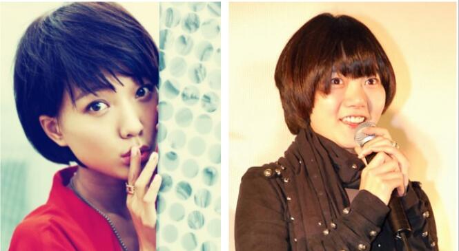 �ᶷ�ȳ��������󵤶Ա�ͼ �ᶷ�ȺͲܳ�����һ������