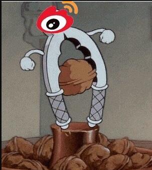 ��������ʲô��˼ ����ʲô��