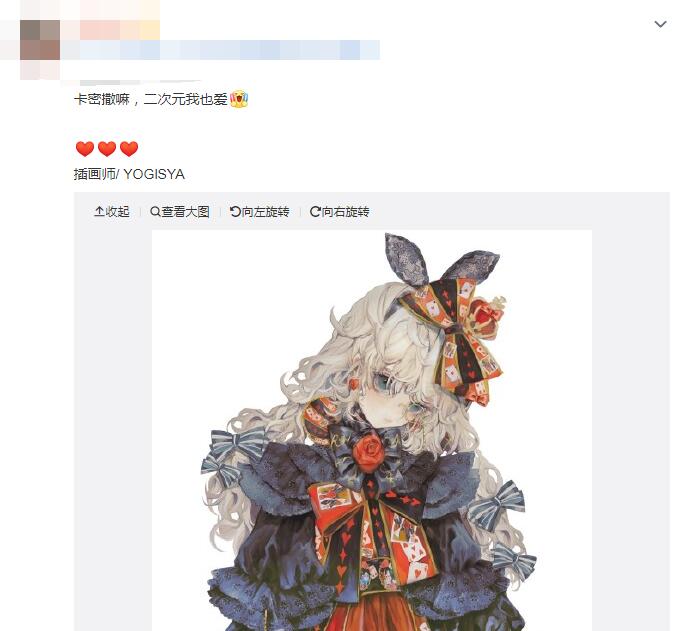 ������ʲô��˼ ����������ʲô��˼