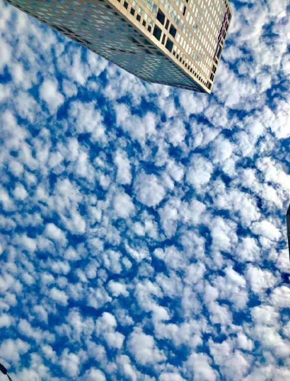 �����ƴ���ʲô���� ������һ���������