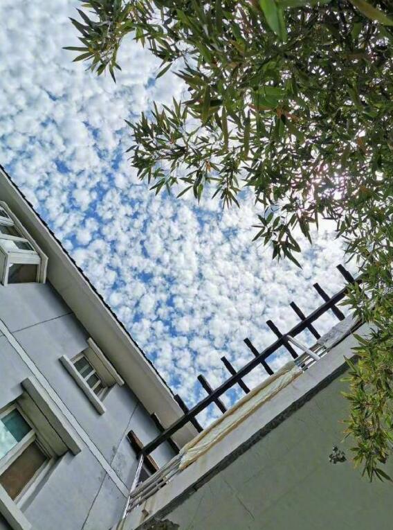 �����ƴ���ʲô���� ������һ���������