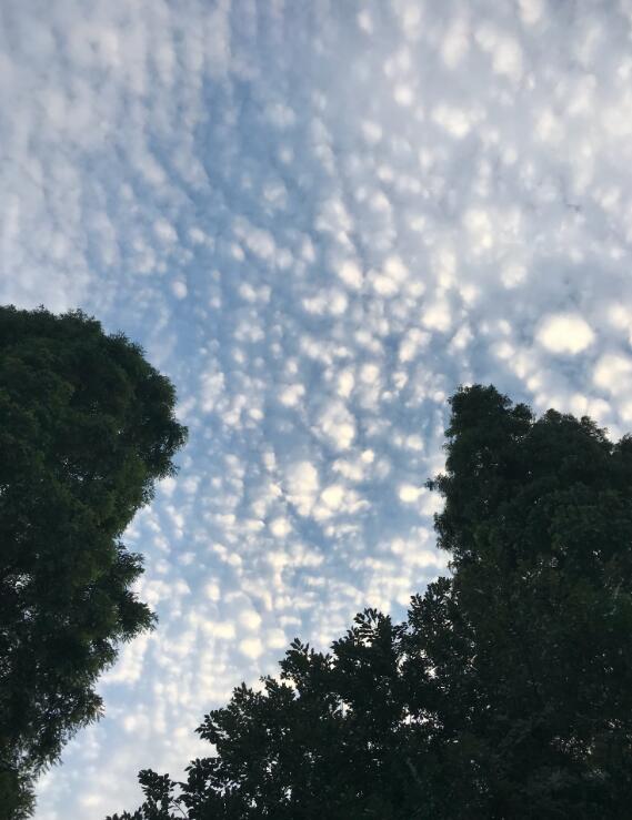 �����ƴ���ʲô���� ������һ���������