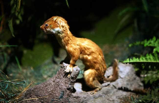 �����ǰ���������ô���� �������������ľ���