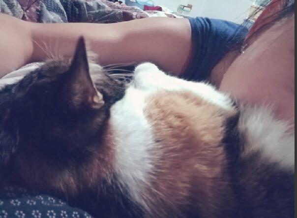 ��è��ʲô��˼ Ϊʲô�п�е����Ƕ�è����