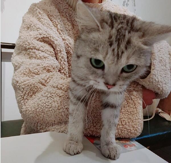 ��è��ʲô��˼ Ϊʲô�п�е����Ƕ�è����