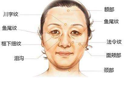女性法令纹深面相图解 法令纹深代表什么